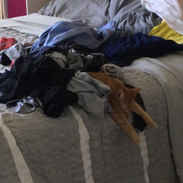 Helping Mama With Laundry