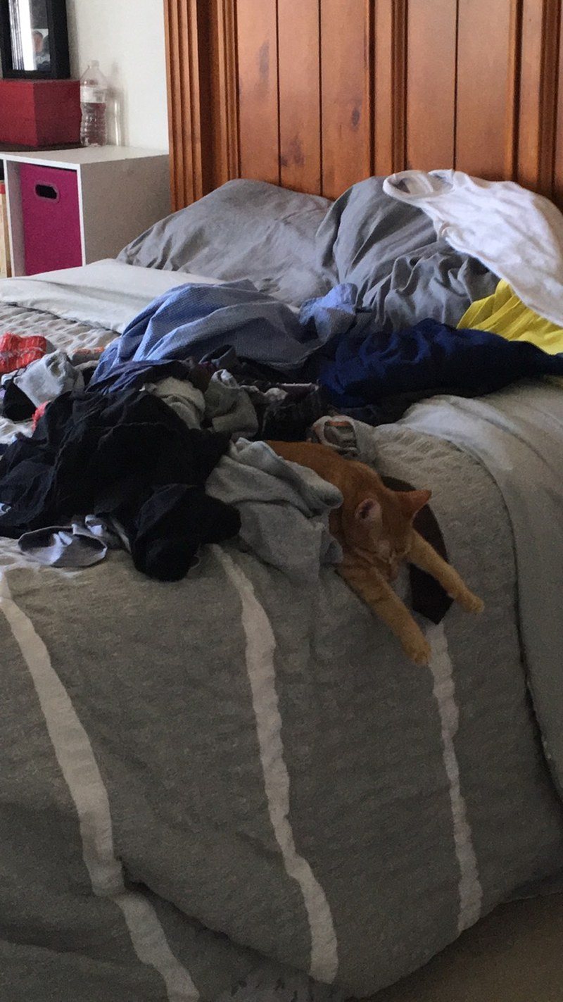 Helping Mama With Laundry