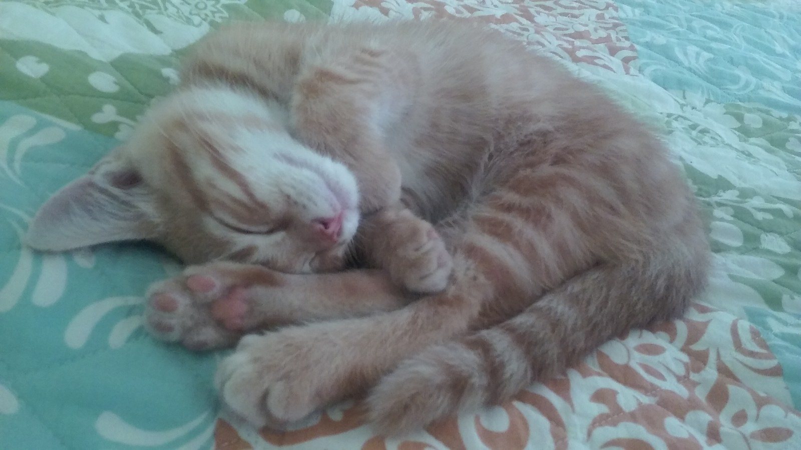 ZZzzzzzz