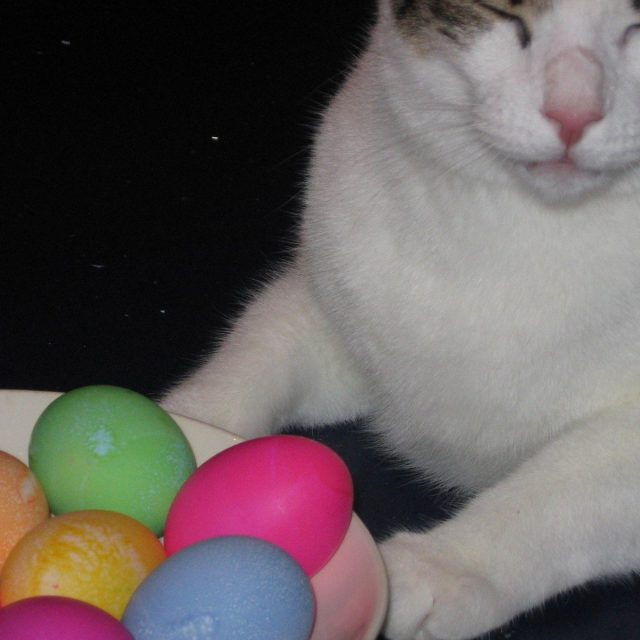 Easter Egg Hunting
