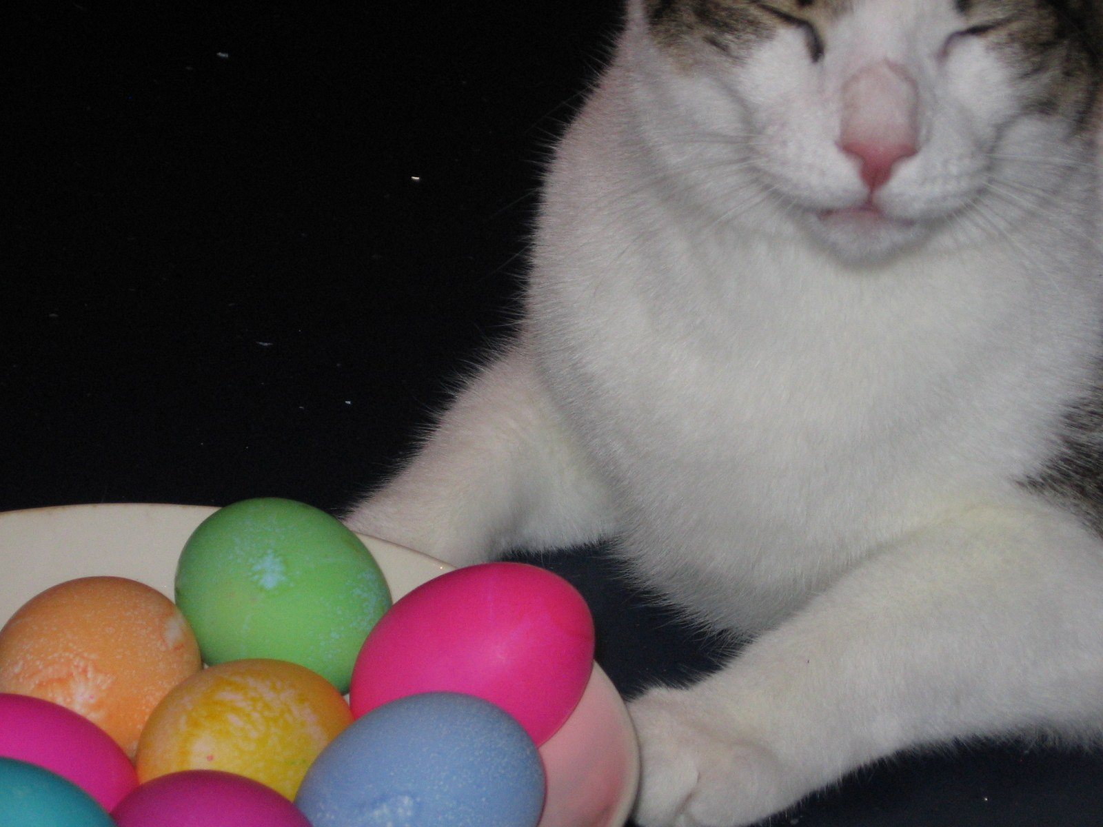 Easter Egg Hunting