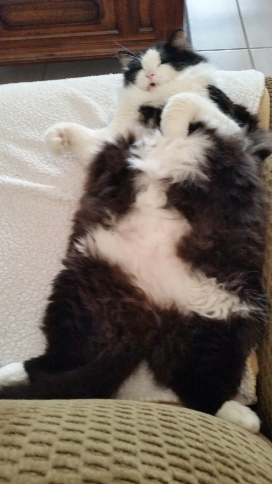 Just Resting. It's Been A Hard Day!