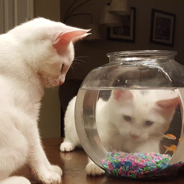 Thinking Of Going Fishing