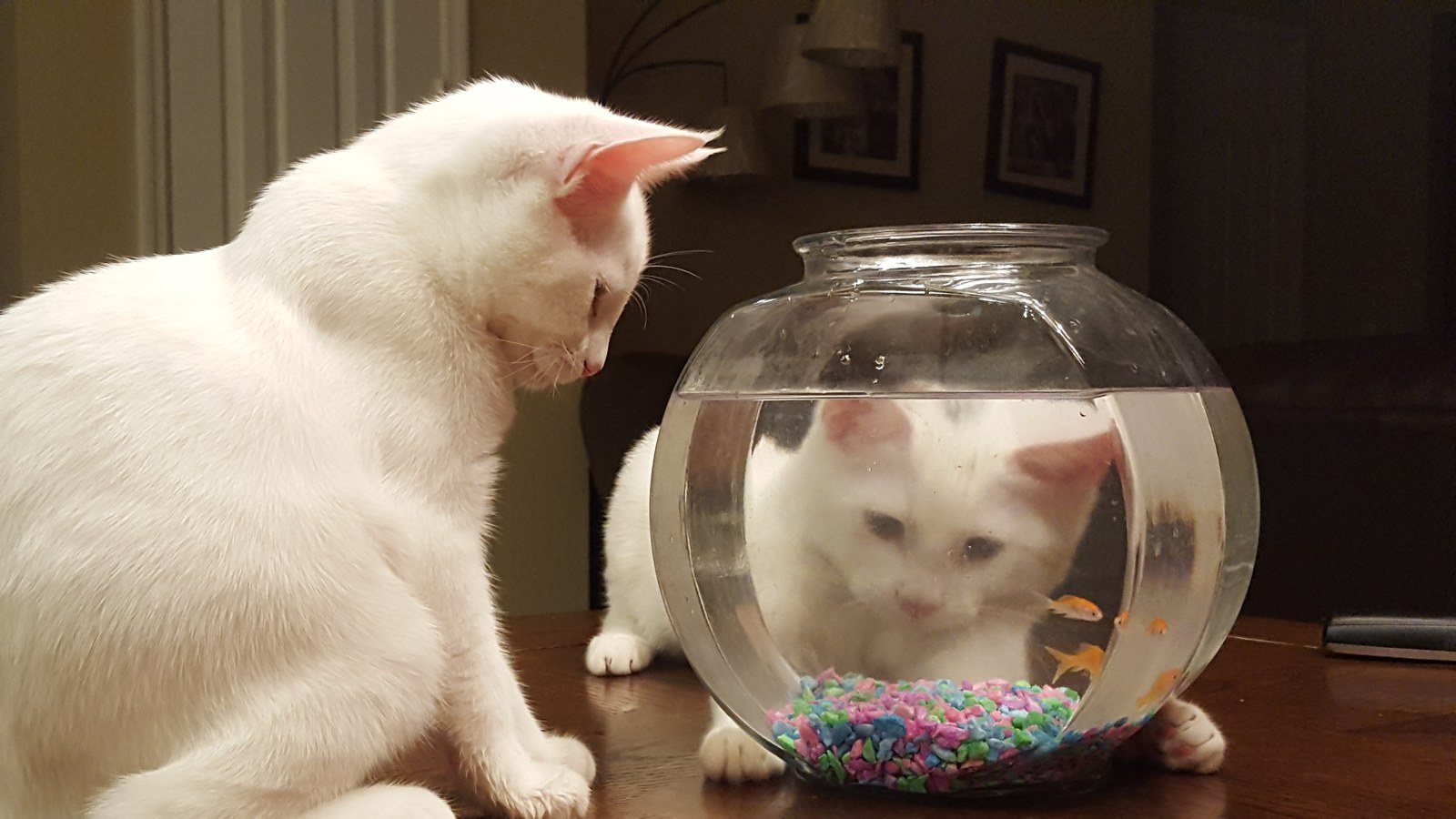 Thinking Of Going Fishing