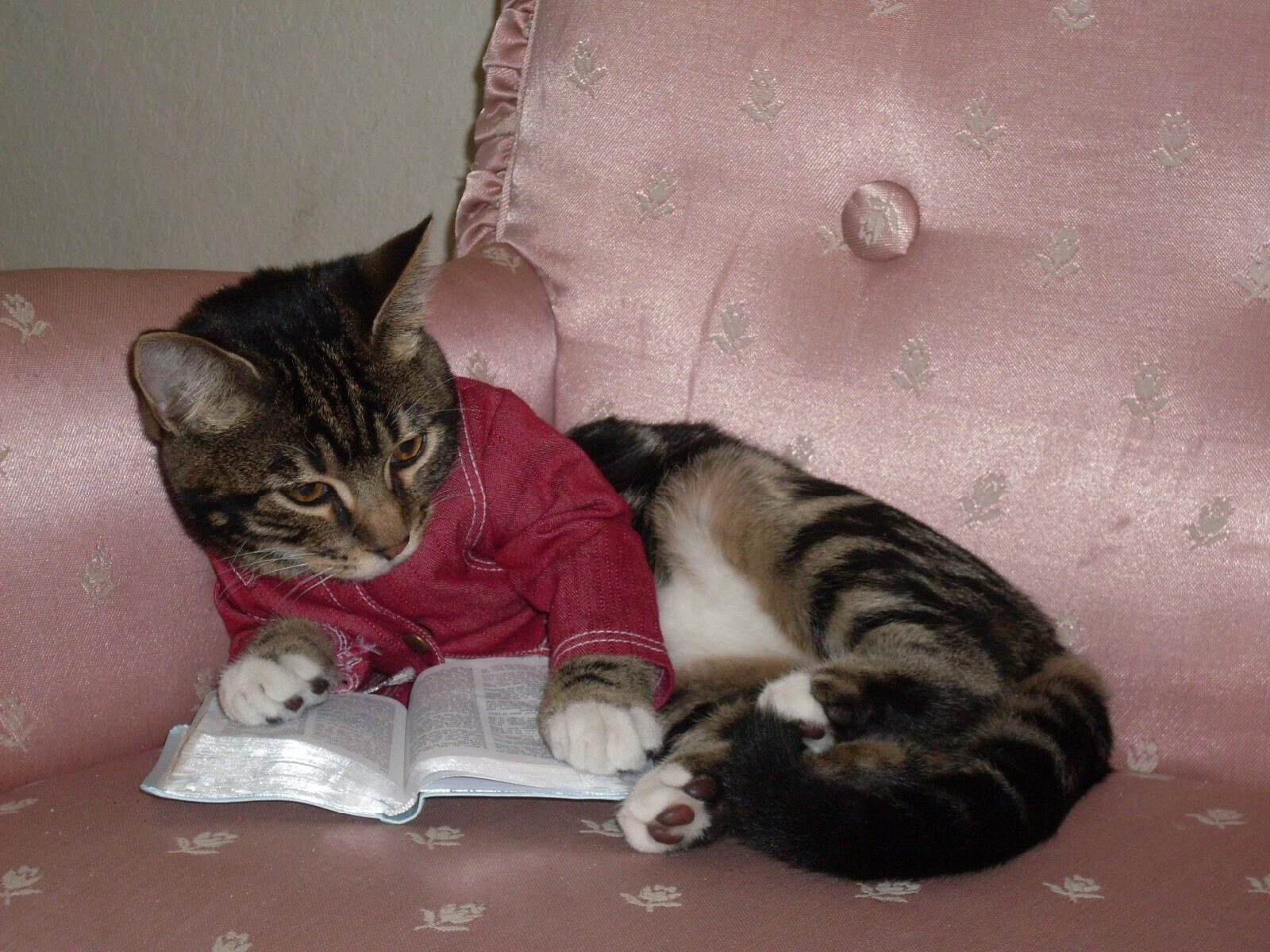 "Just Pleasure Reading"