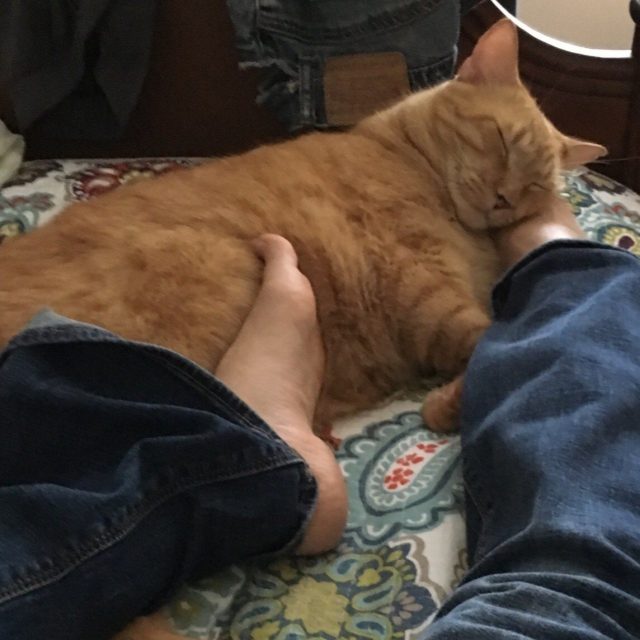 I Love My Mommy. And Her Foot.