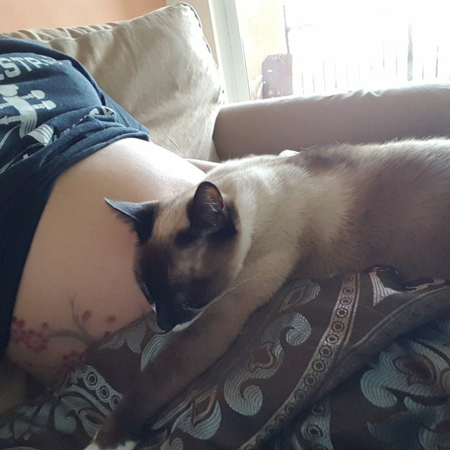 Hmmm....I Hear Something Weird In There Mommy