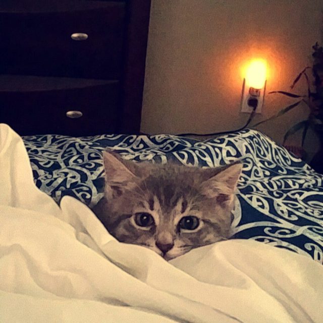 Peek A Boo