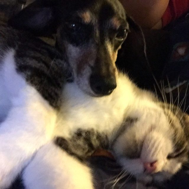 Besties