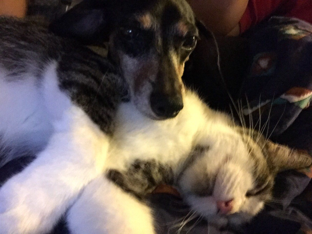 Besties