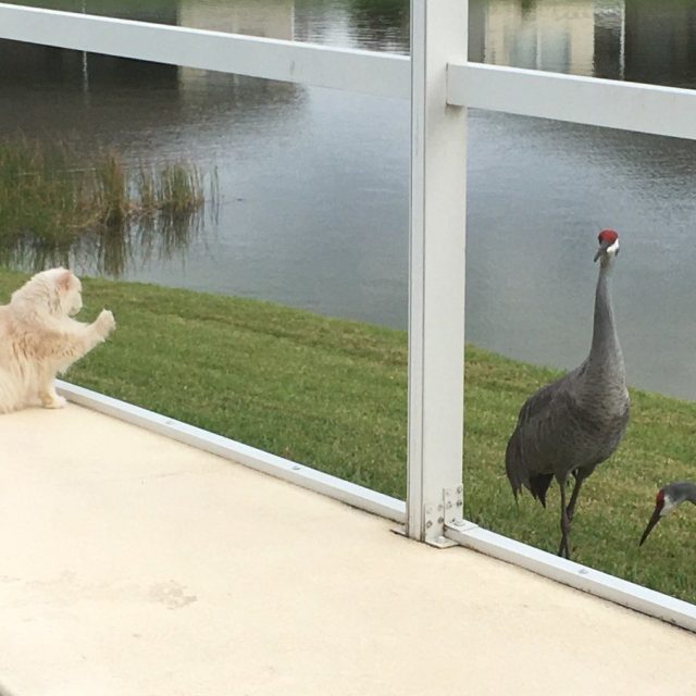 Hey! Hey, You!