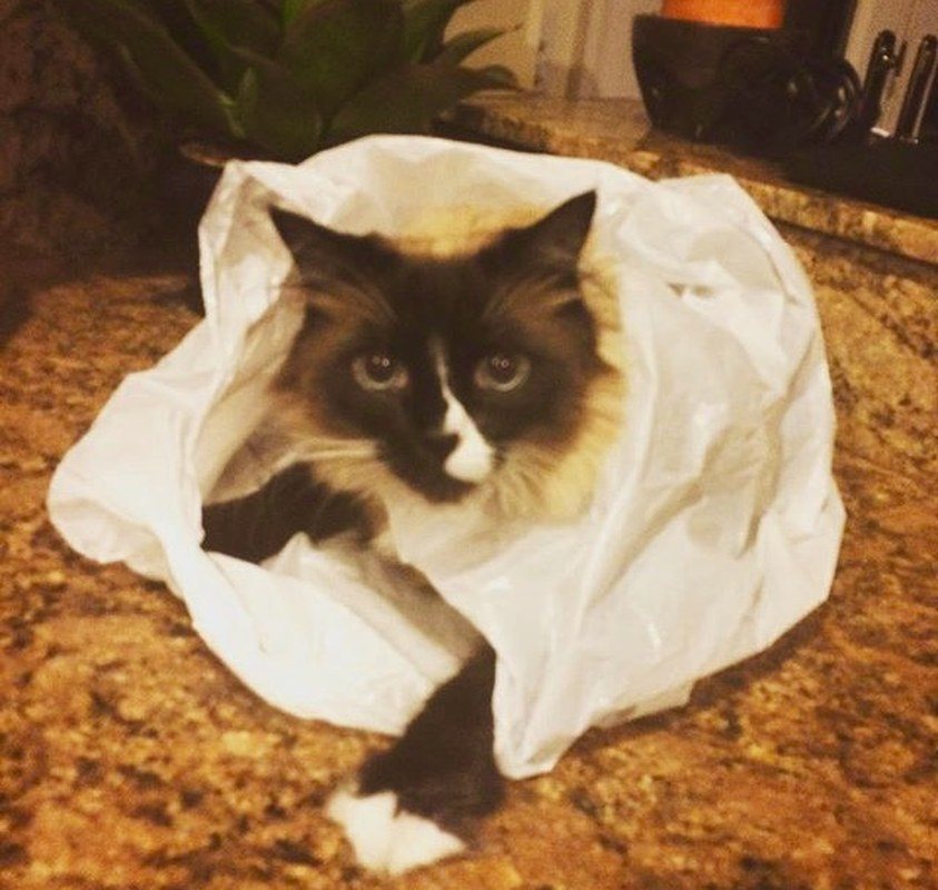 I Didn't Do It...