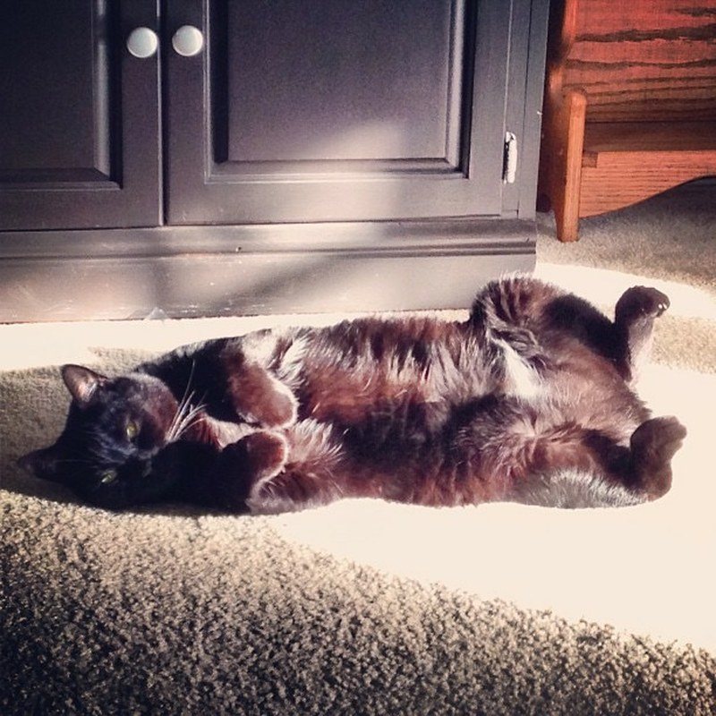 Kristina's photo