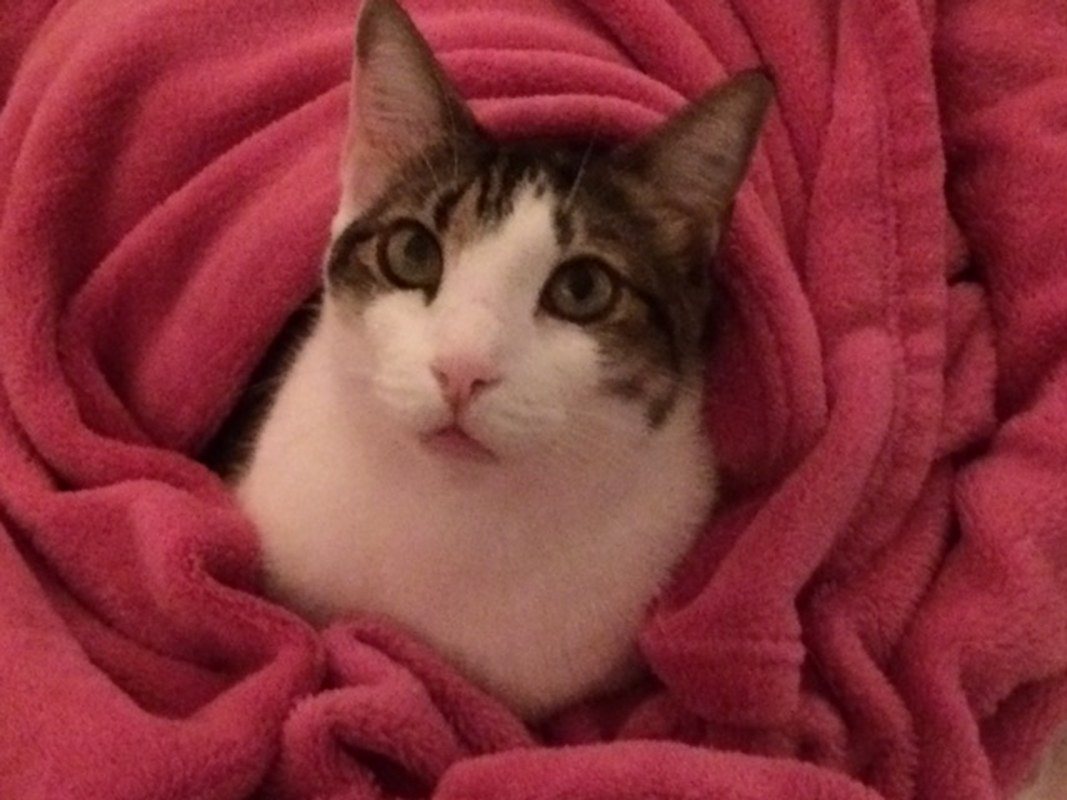 Boo's Blankie