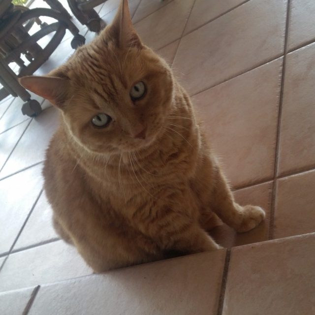 Contemplating