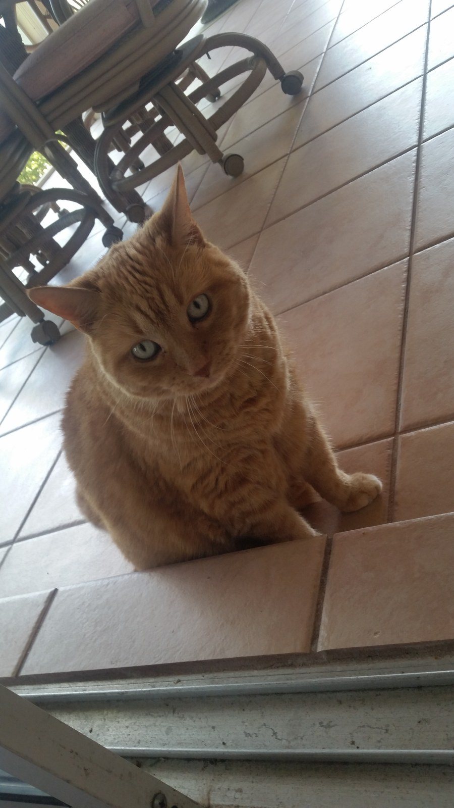 Contemplating