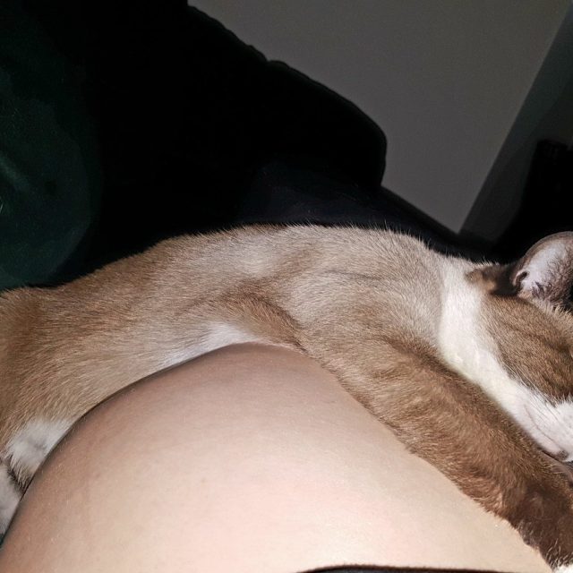 I Snuggles This