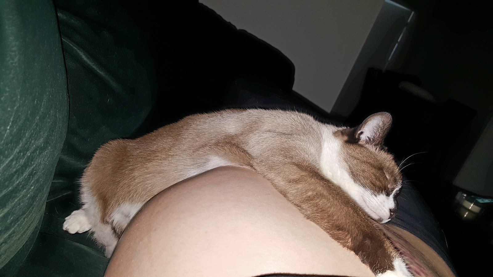I Snuggles This