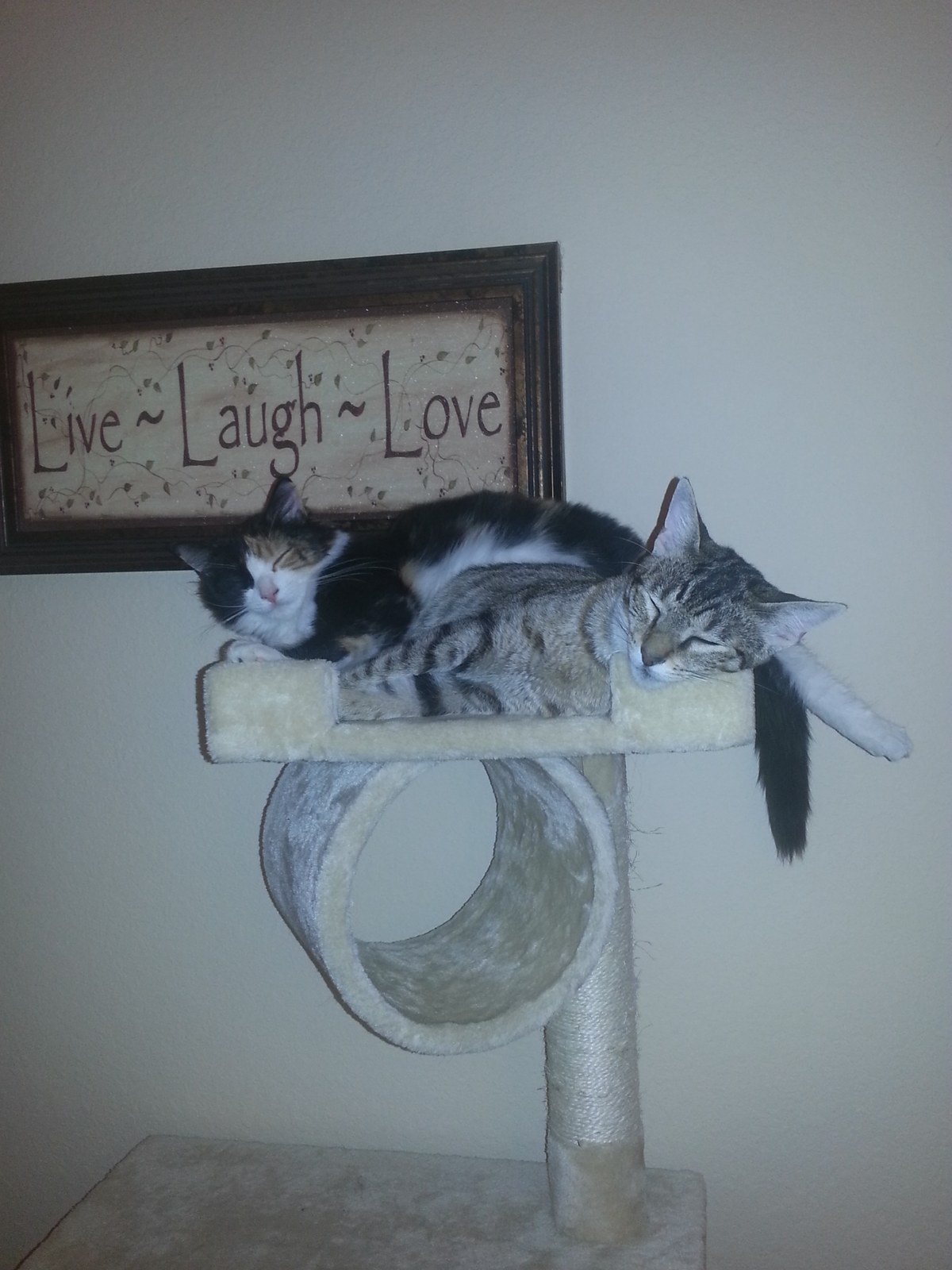Catching Some Zzzzzzs