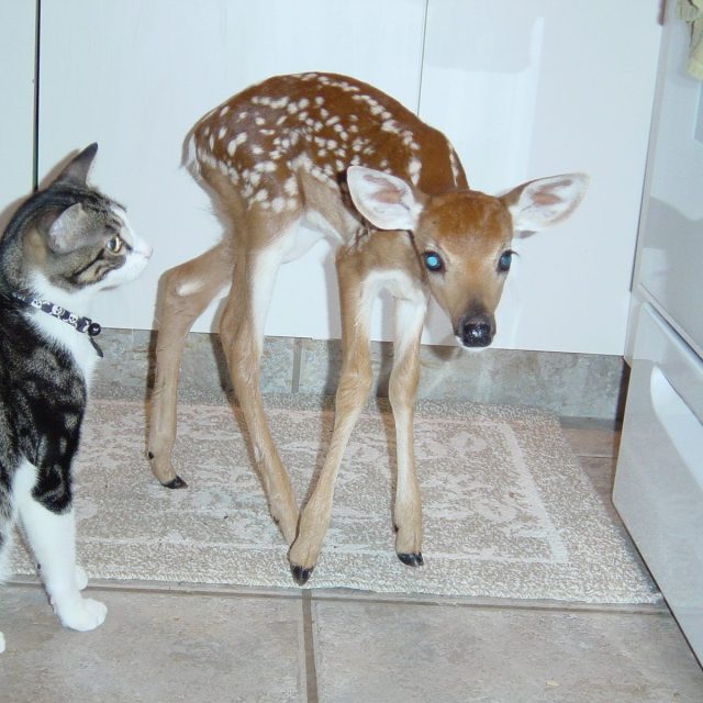 Are You My Friend?
