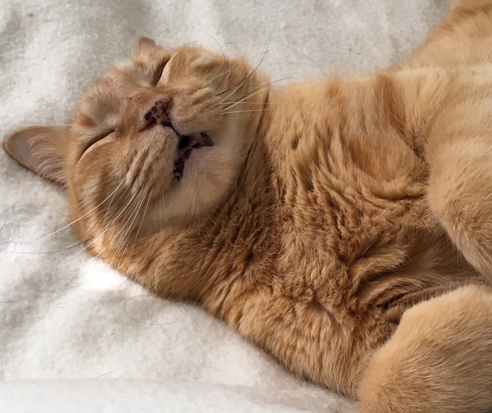Zzzzzzz