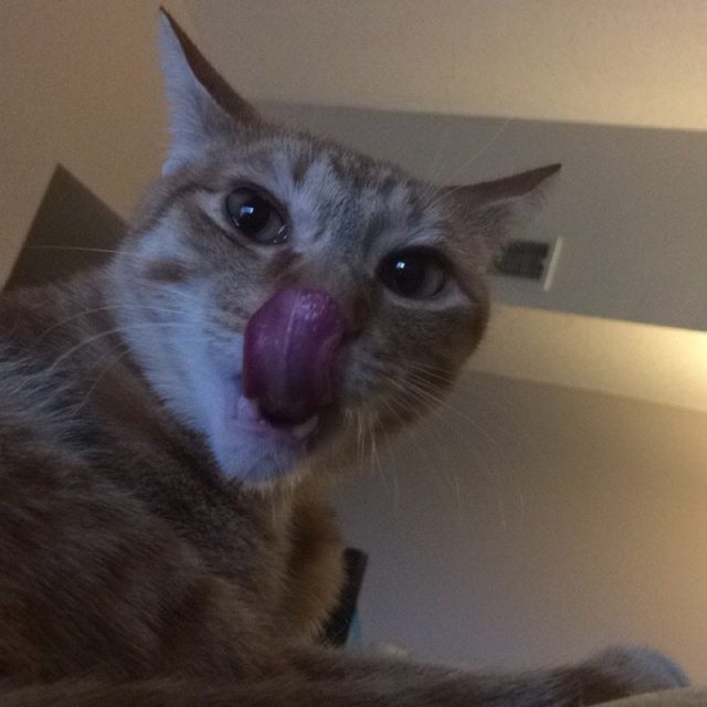 Meeks Being Meeks