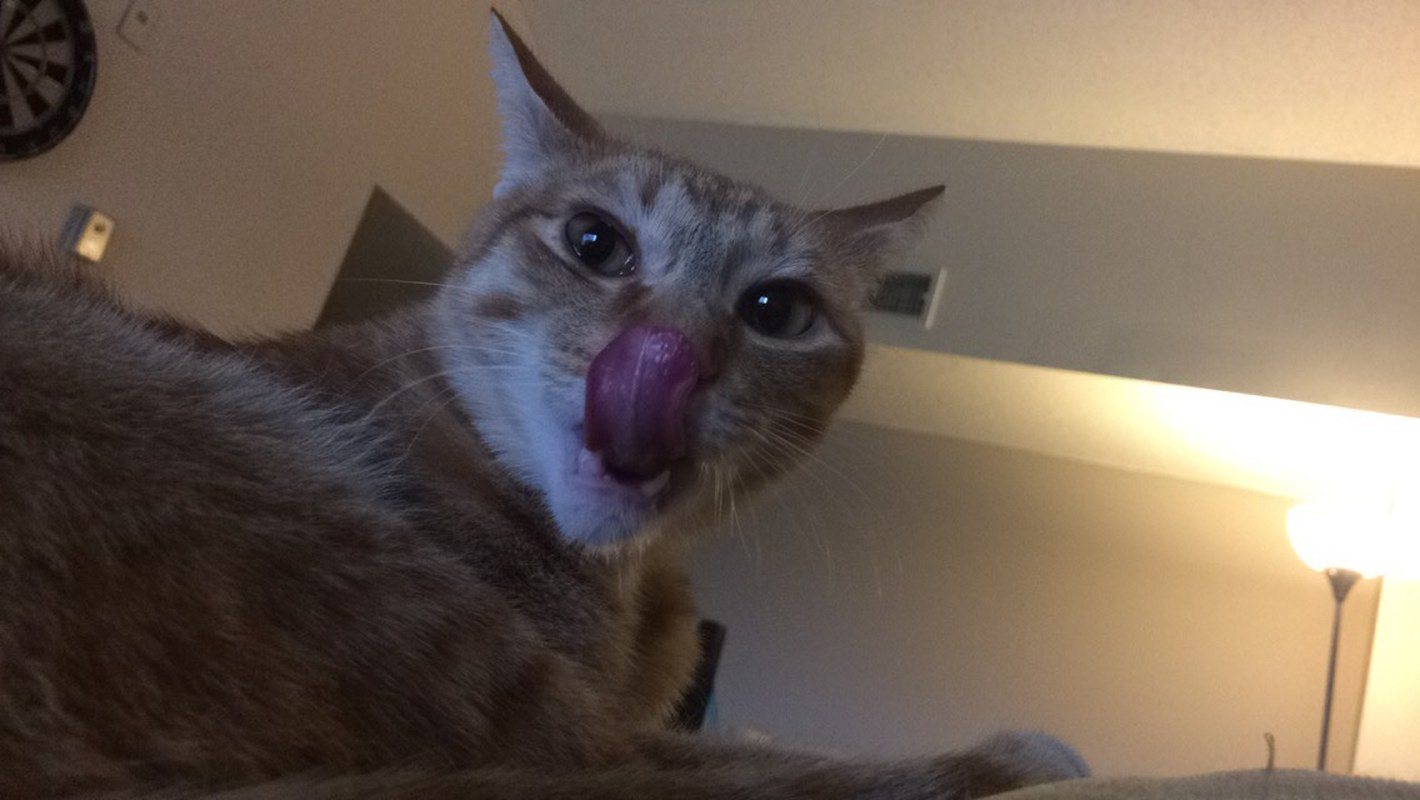 Meeks Being Meeks