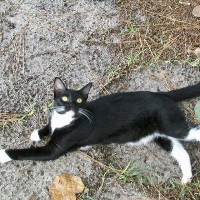 Enjoying The Great Outside