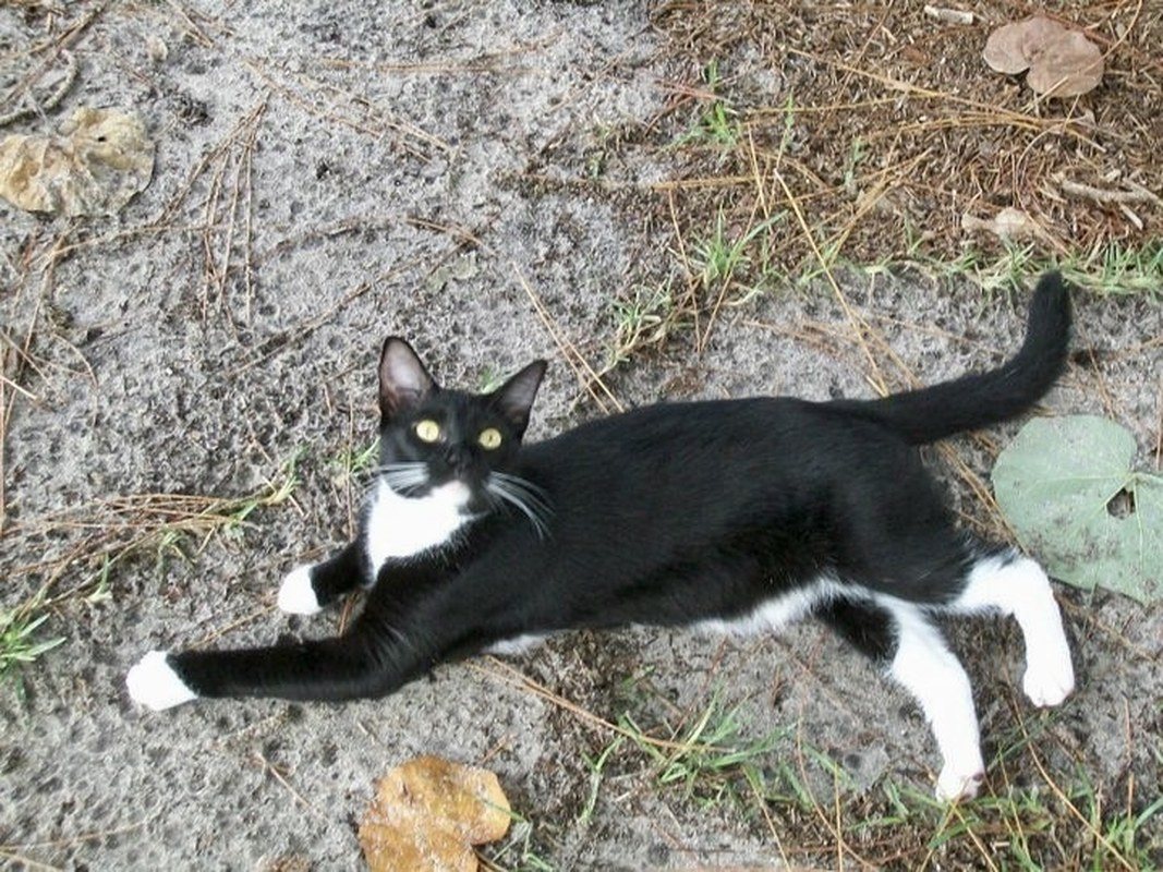Enjoying The Great Outside