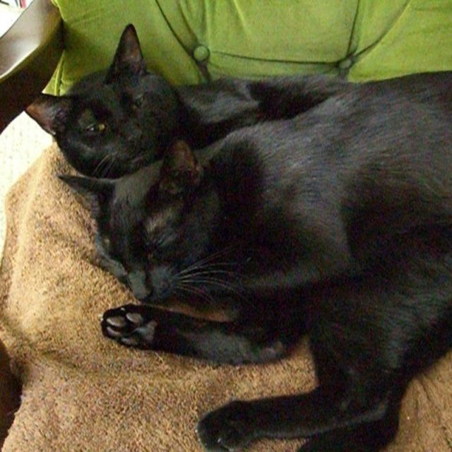 Nappy Time After Come Home From Hurricane!