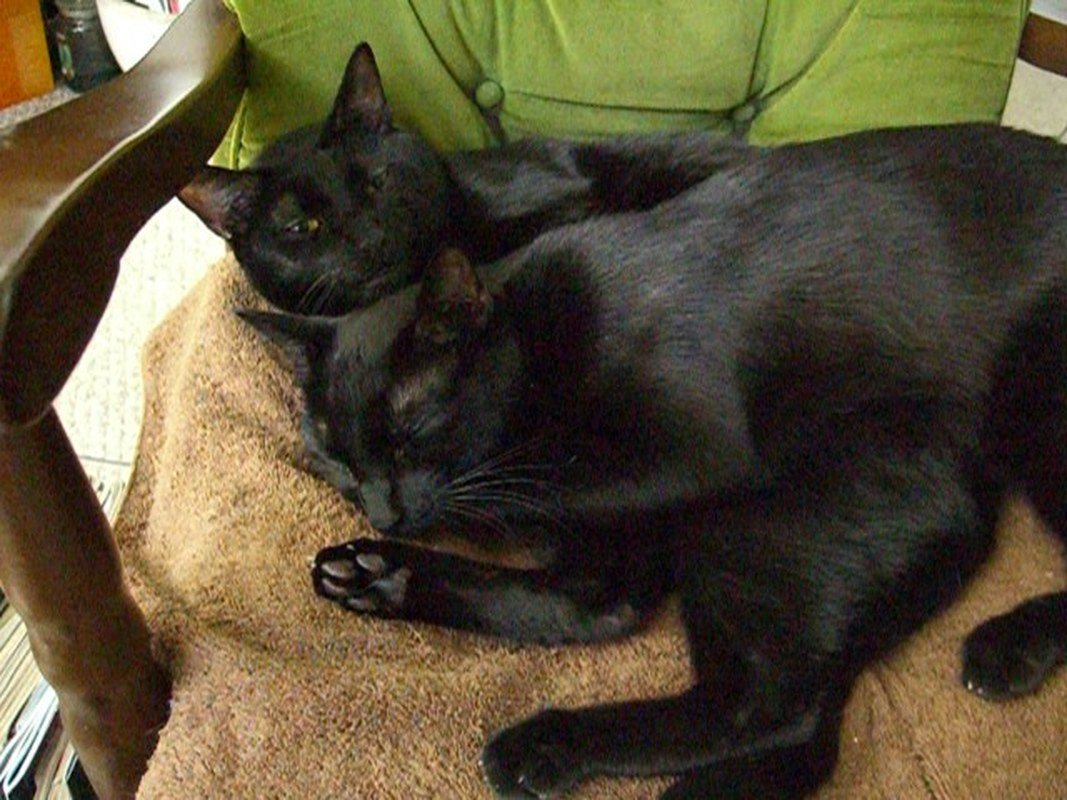 Nappy Time After Come Home From Hurricane!