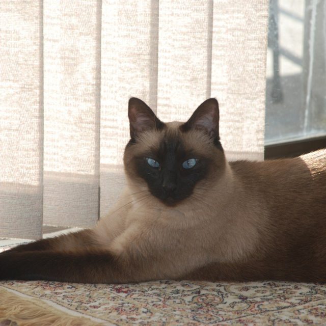 I'm SuLing - Sexy And Beautiful