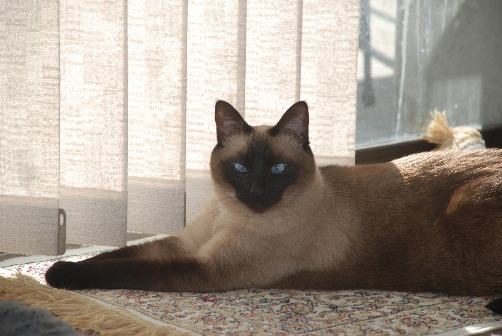 I'm SuLing - Sexy And Beautiful