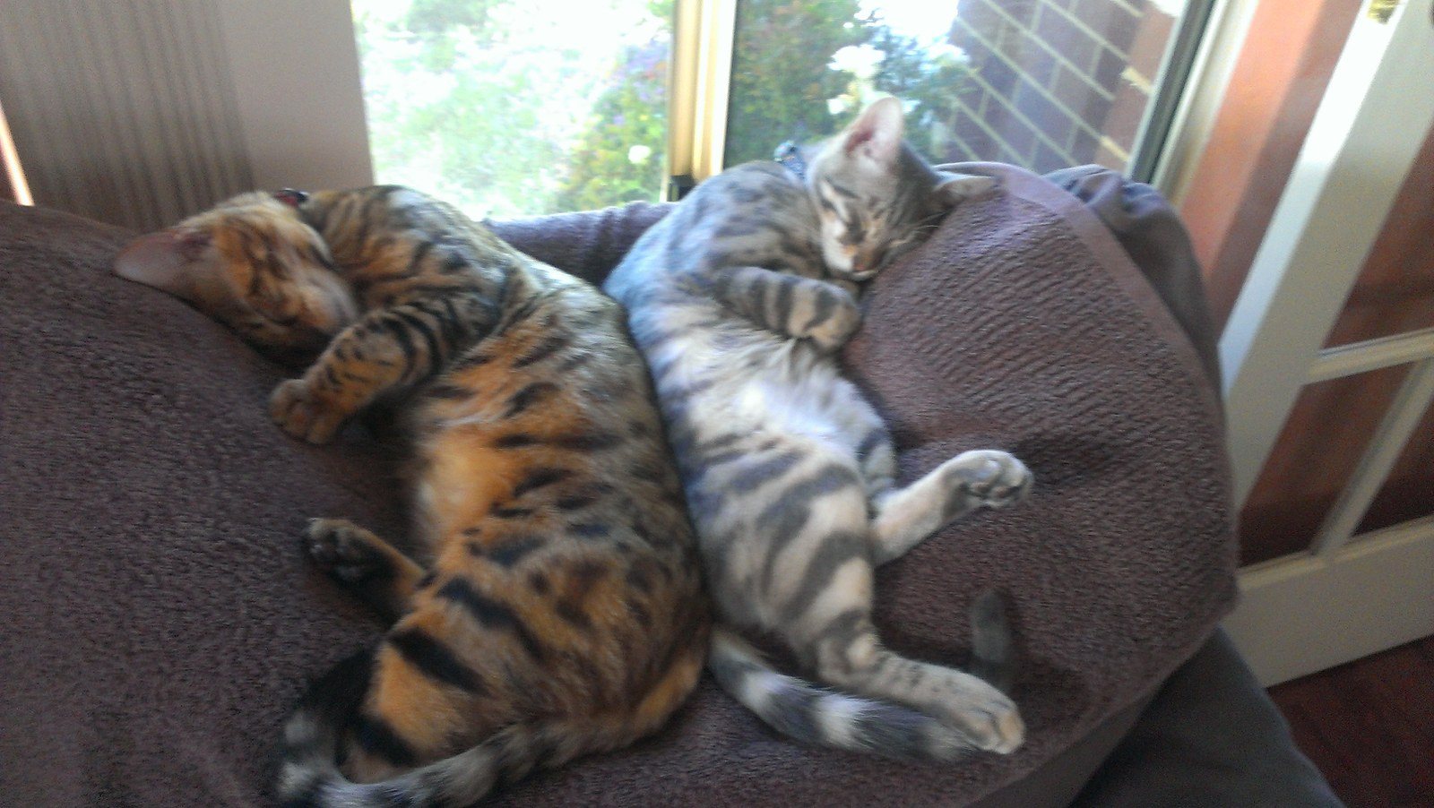 Bookends