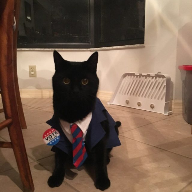 Spooky For President!