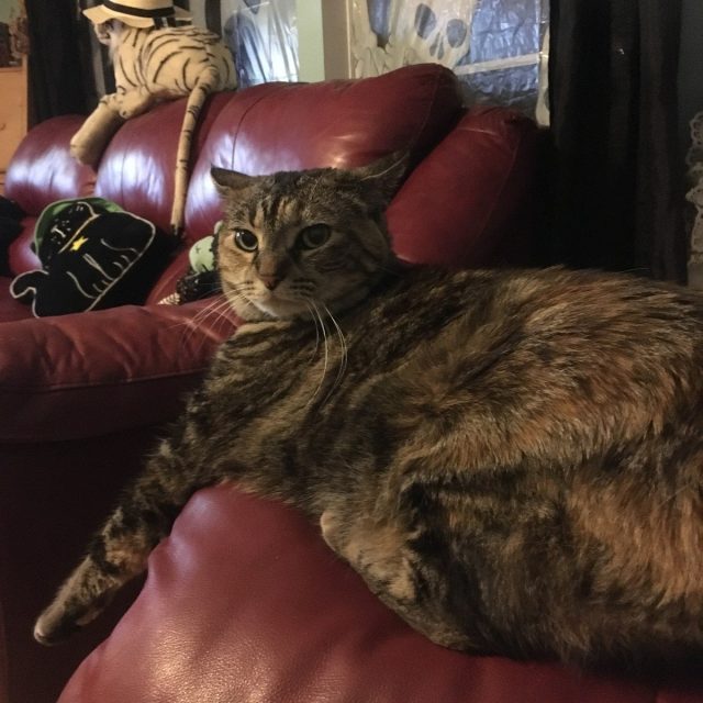 You Rang??