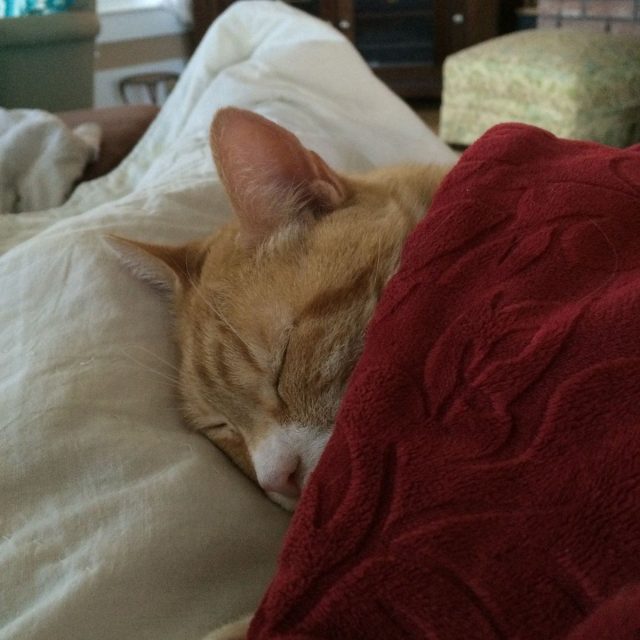 Tuck Me In!