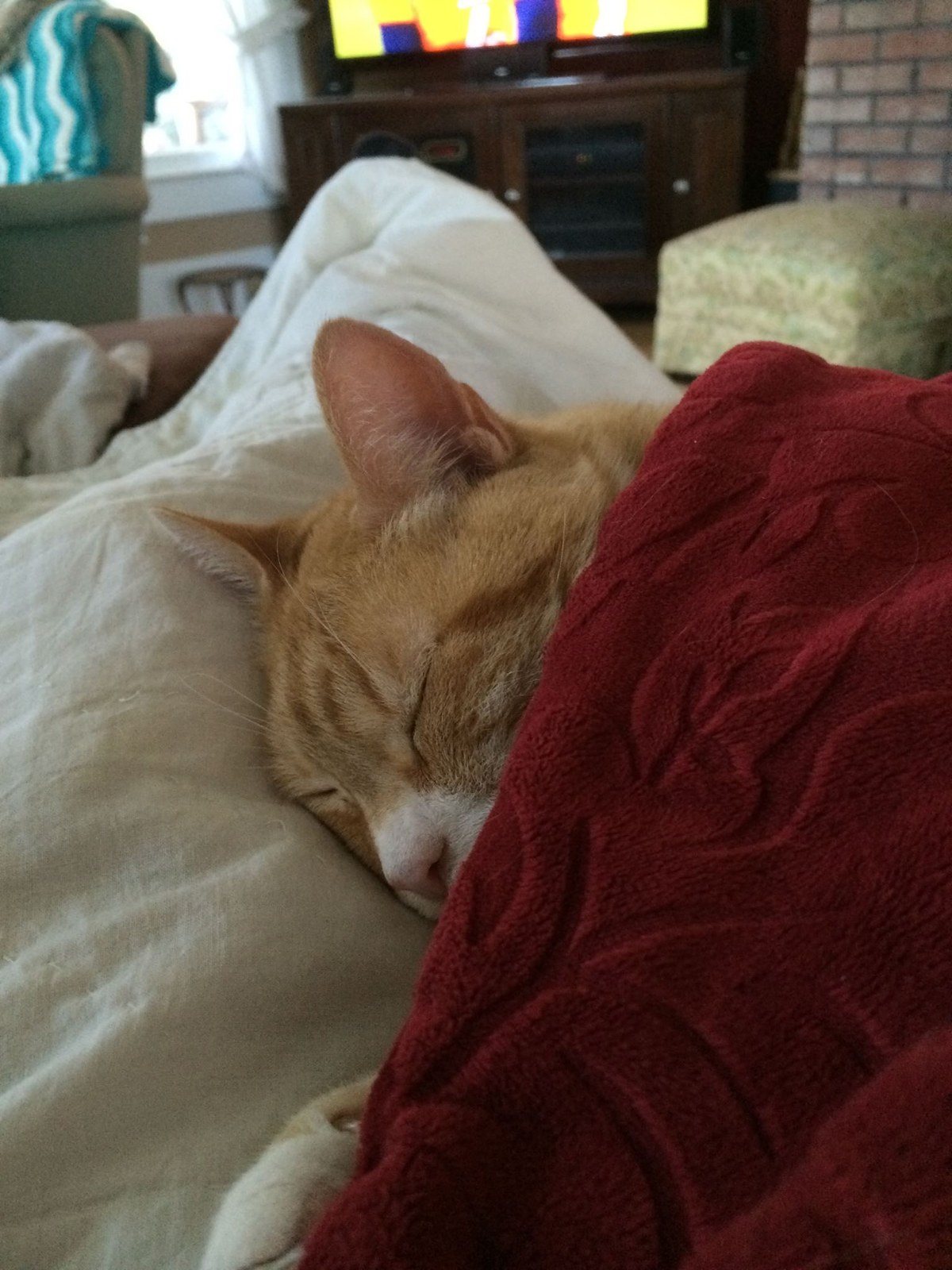 Tuck Me In!