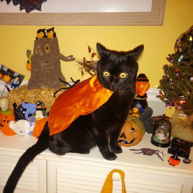 Boo!