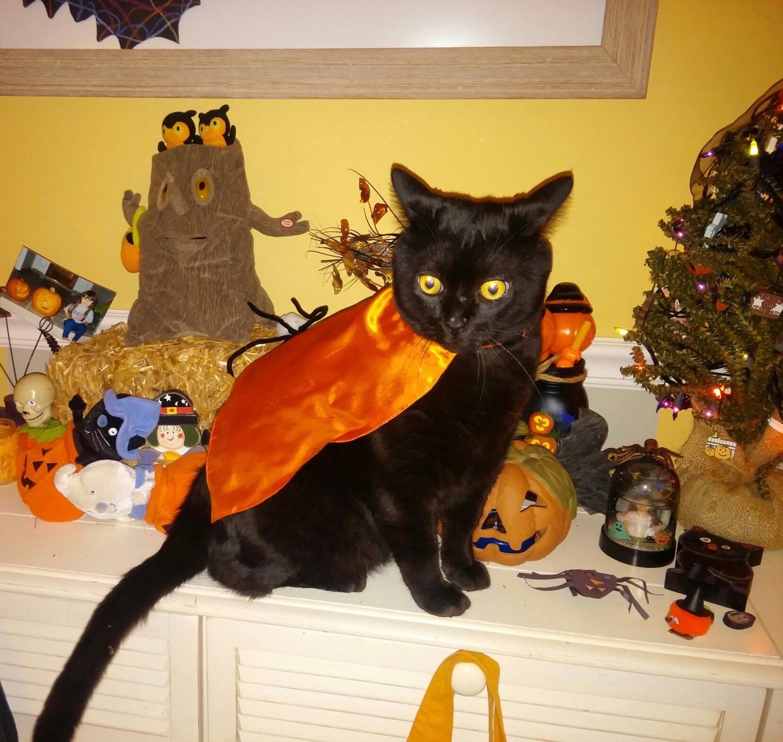 Boo!