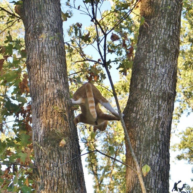 Hanging In There