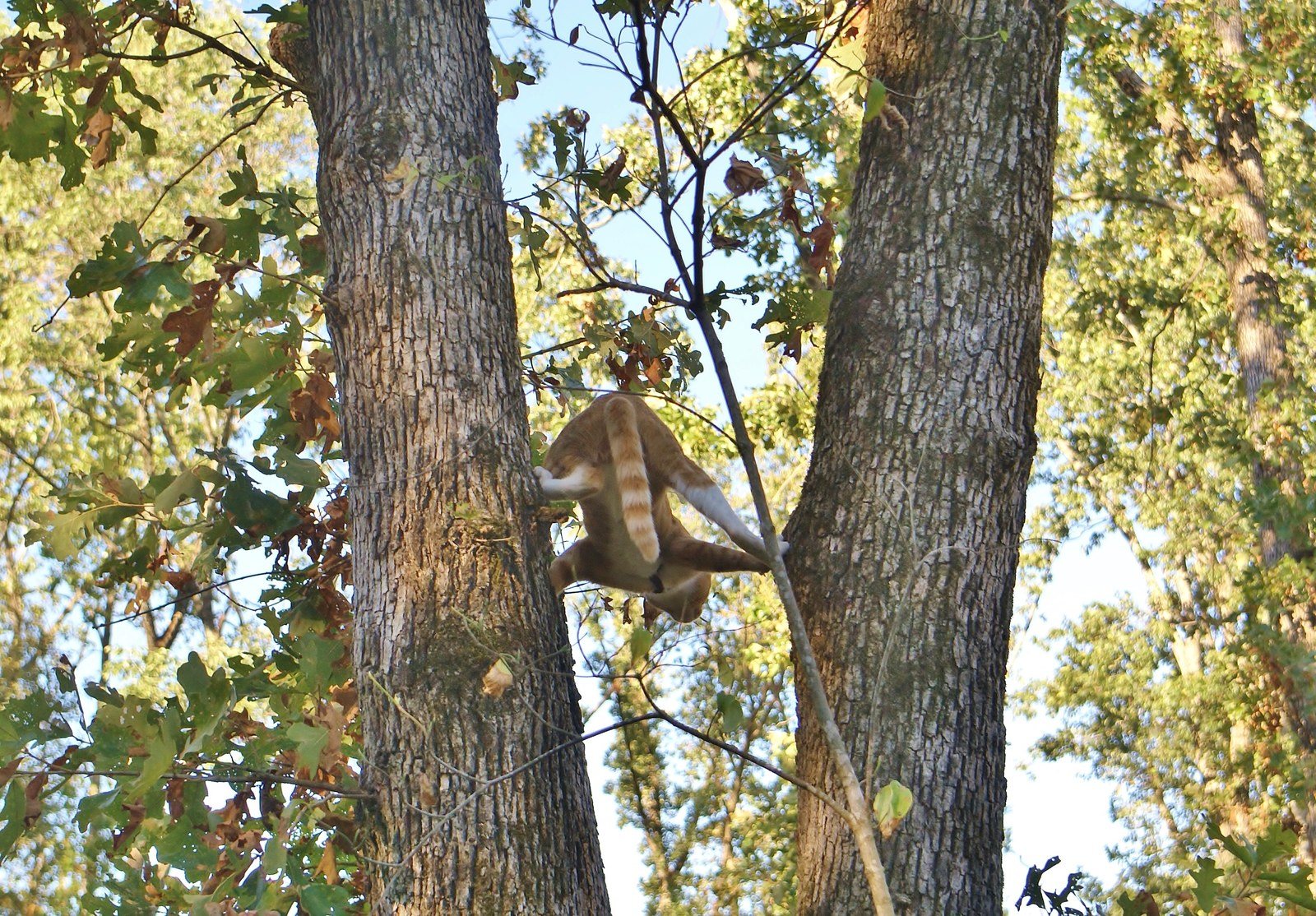 Hanging In There