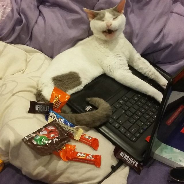 Mooooom! Shut The Door When You Walk Out!