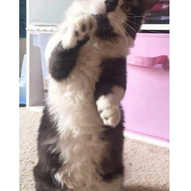 Hi Friends!