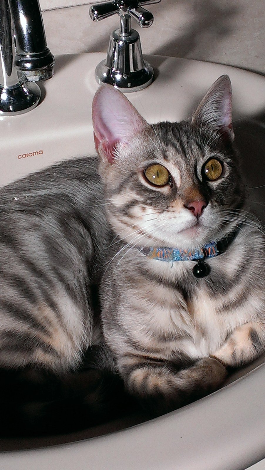 What You Want To Use The Sink ??