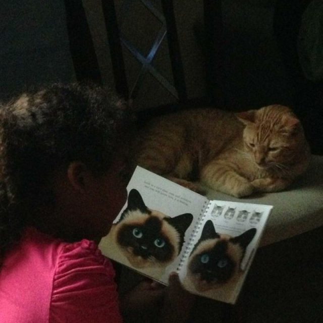 Read To Me