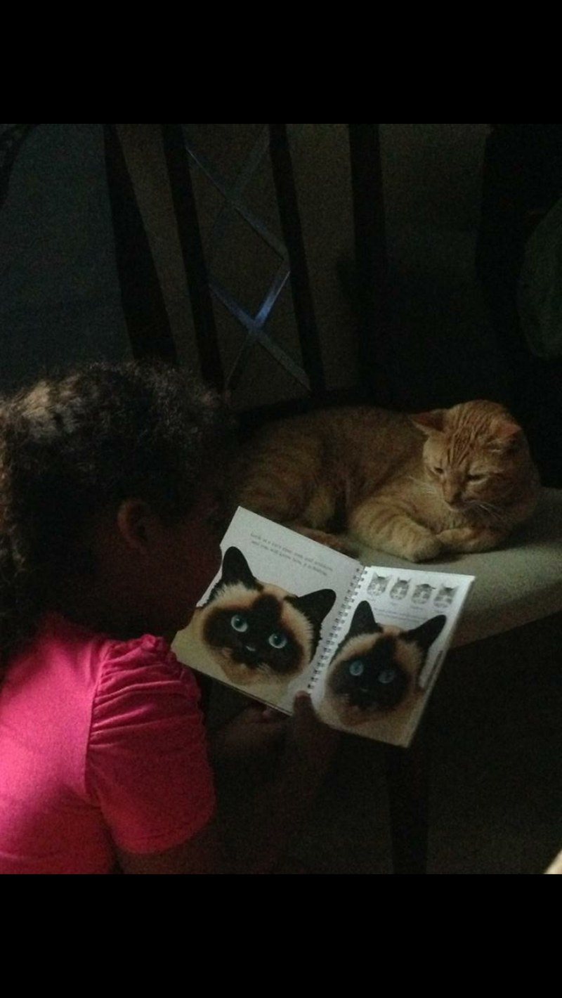 Read To Me