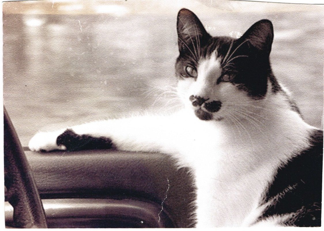 Cruising Max