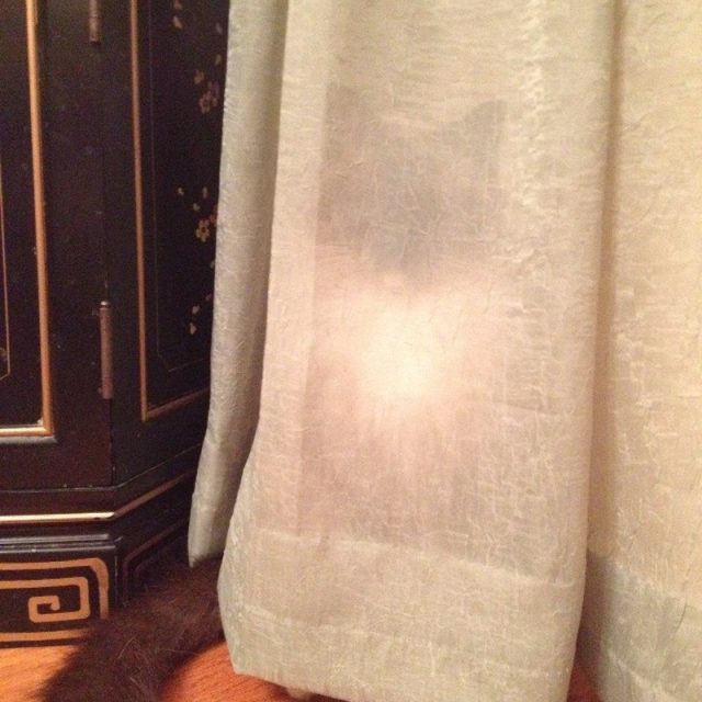Can You See Me? I'm Spying On You…