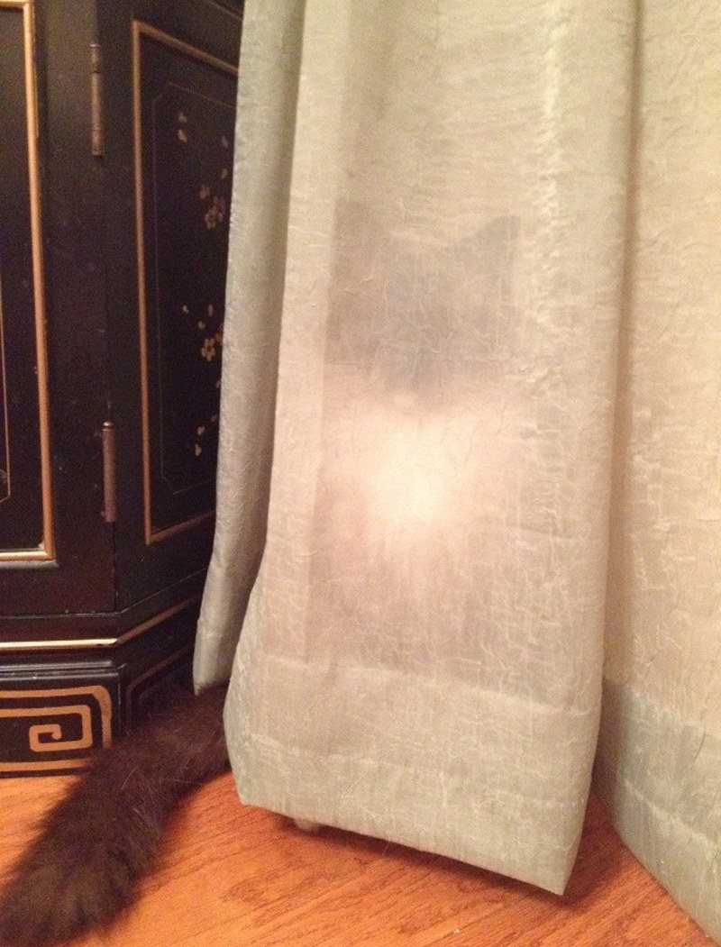 Can You See Me? I'm Spying On You…